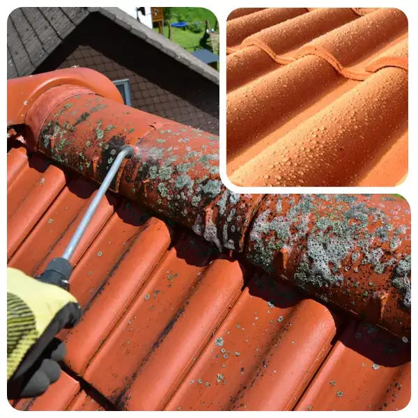 Nettoyage de toiture à Ville-la-Grand – démoussage complet et traitement des tuiles par Zaid Samuel.